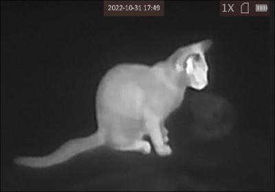 Capture.JPG (26.53 KiB) Viewed 2240 times Capture.JPG
